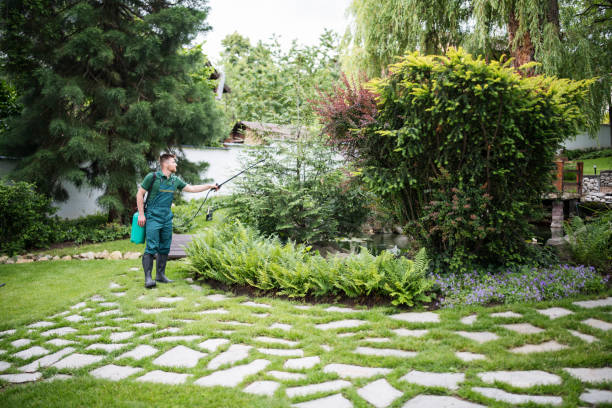 Best Mosquito Control Services  in Waukomis, OK
